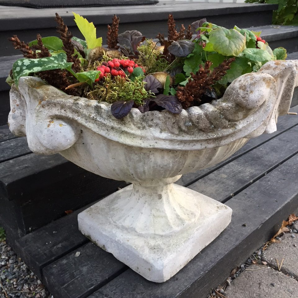Höstplantering i kruka